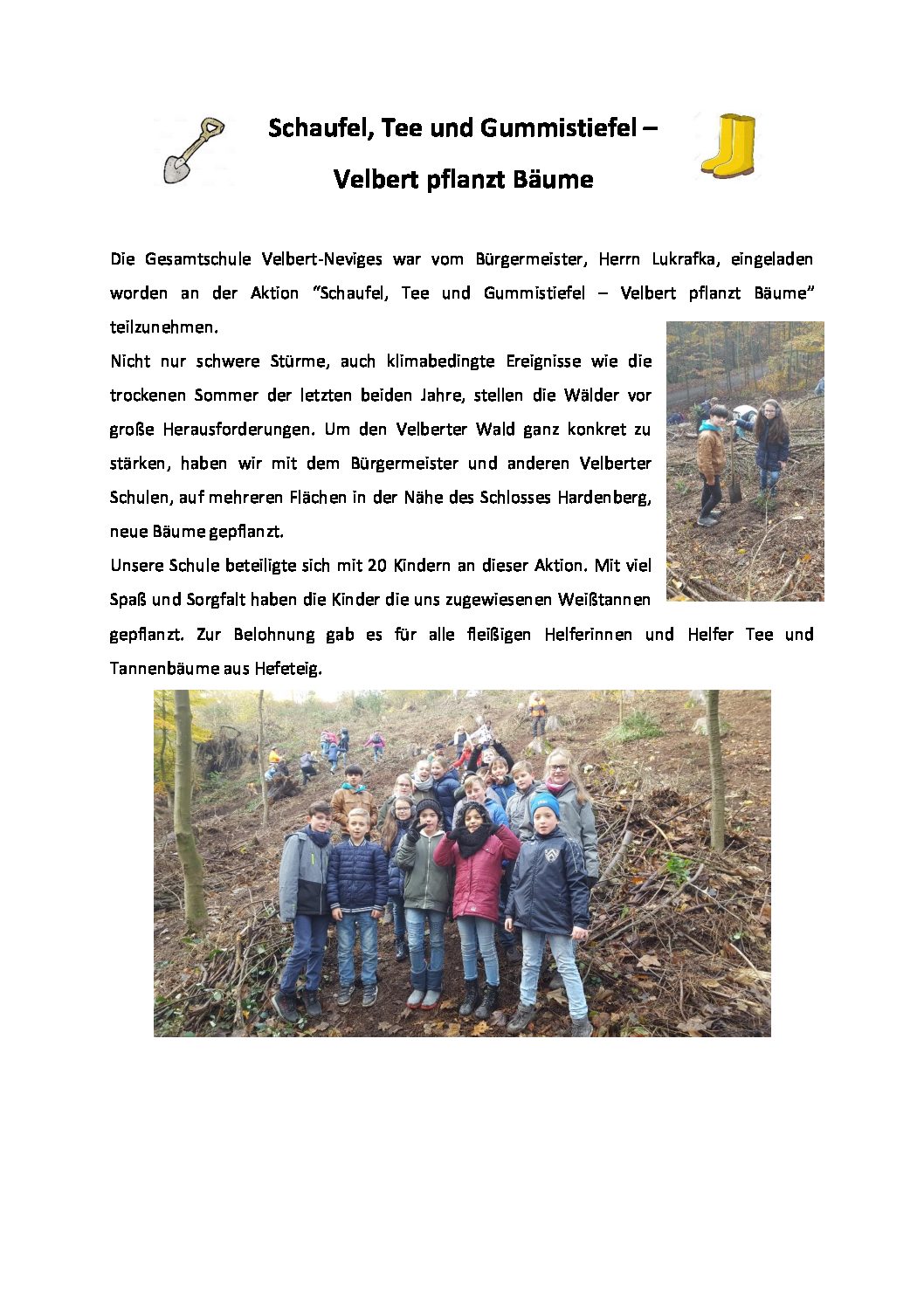 Bäume_Homepage